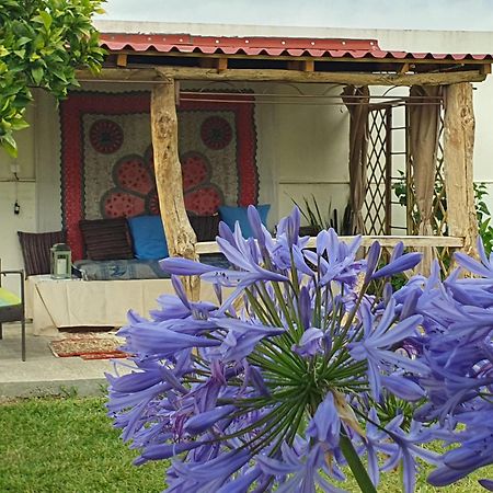 Casinha D'Alice Et Serge Cela Velha Luaran gambar